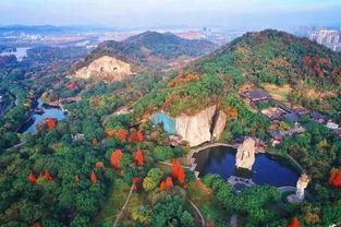 柯岩最新爆料新闻,揭秘娱乐圈惊人内幕  第3张